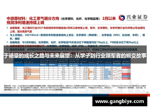 于德豪的成长之路与未来展望：从学子到行业领军者的蜕变故事
